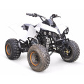 EPA 110CC atv Madix-6